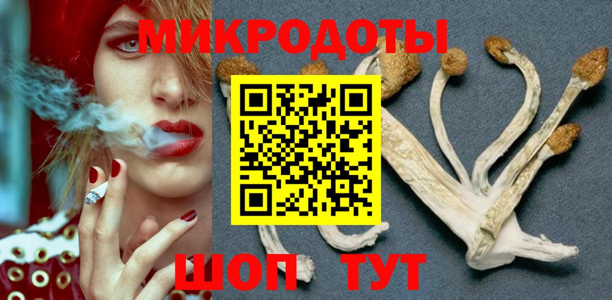 Галлюциногенные грибы Magic Shrooms  Вход с VPN  Находка 